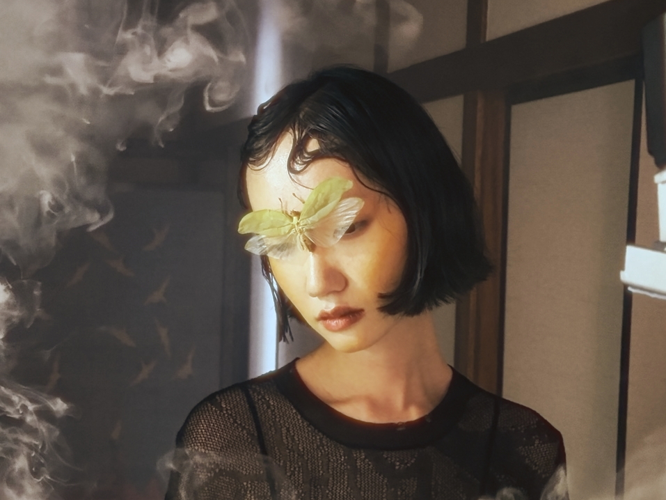 烟，昆虫