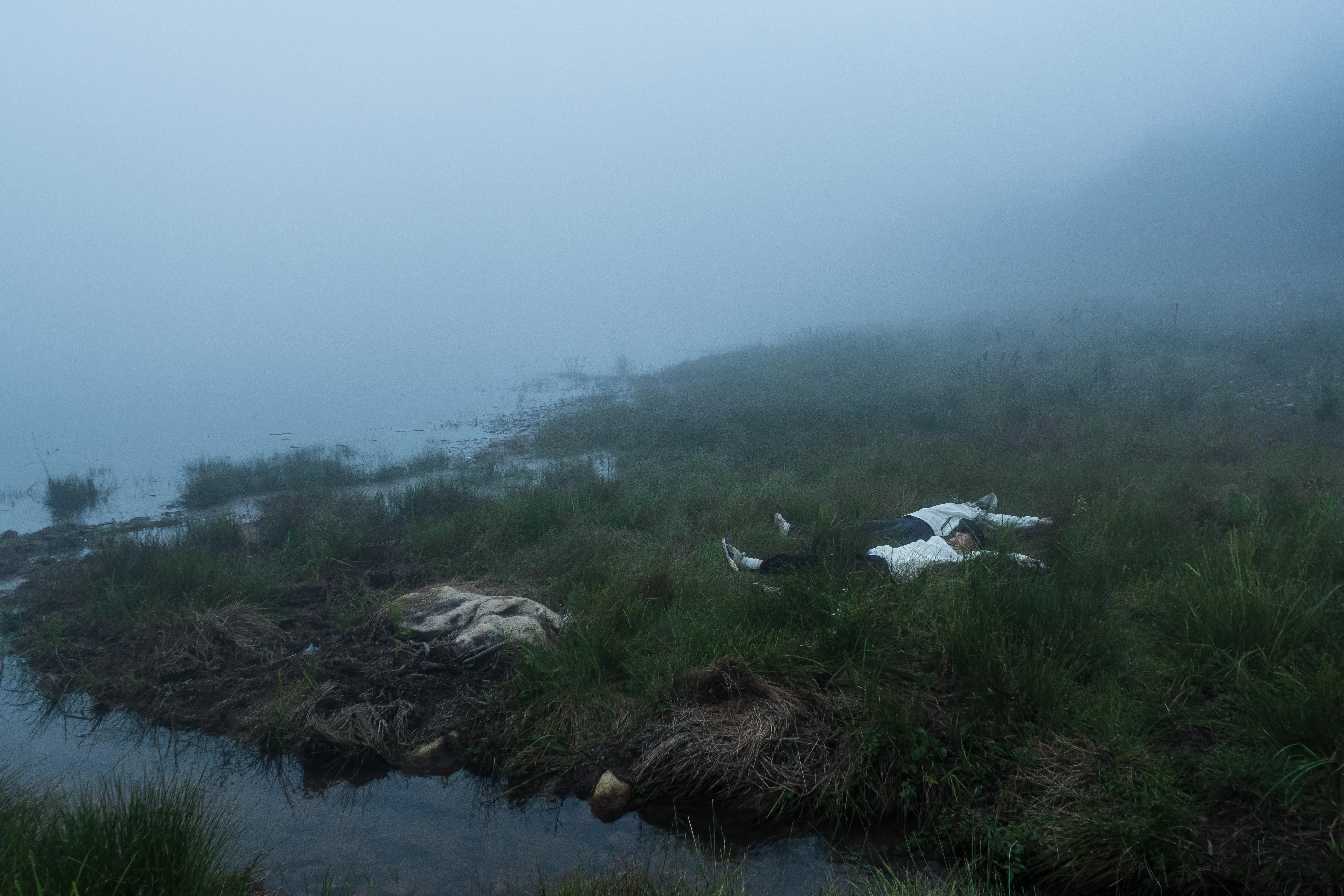 cover_fog