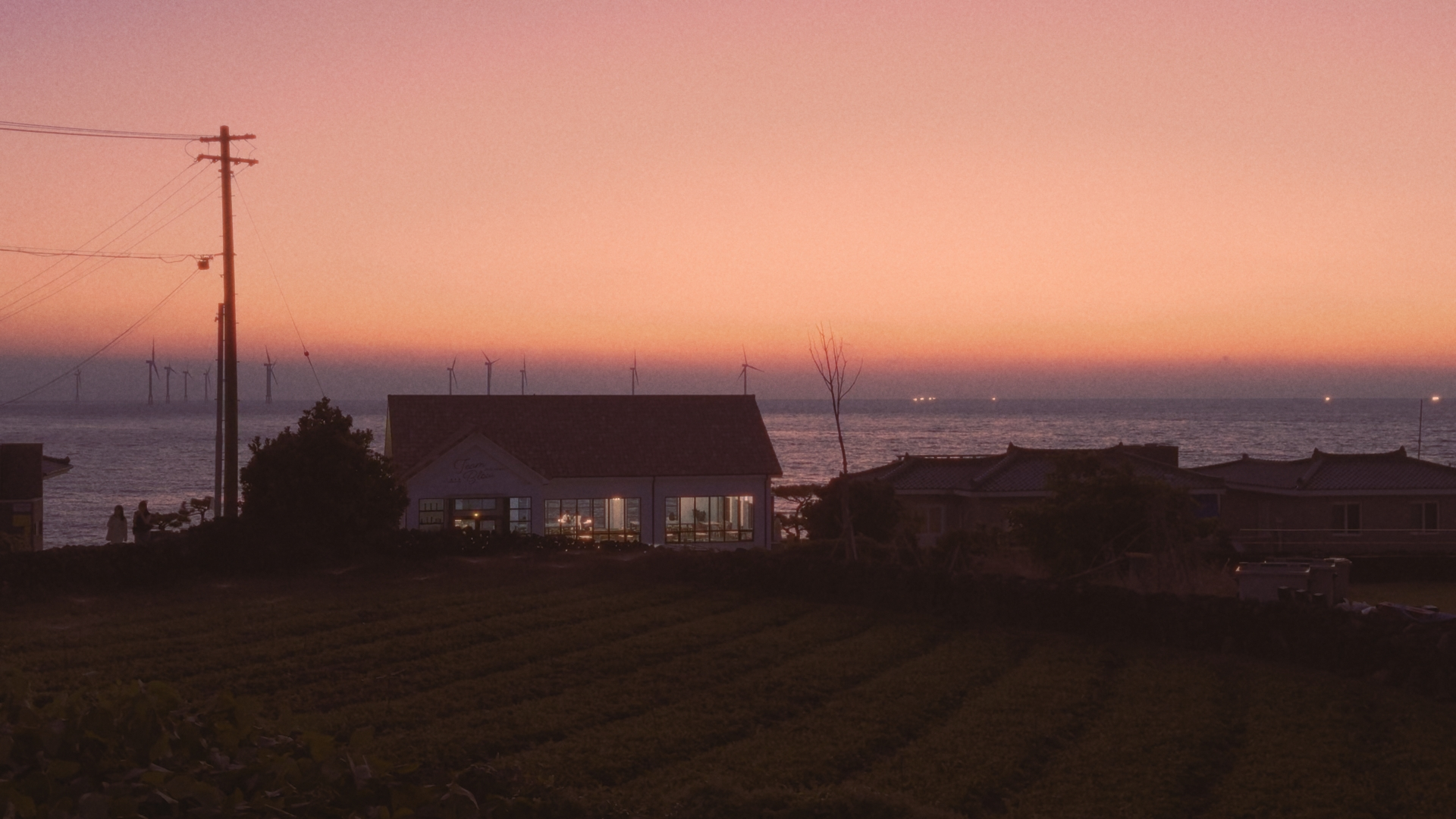 seagullAndSunset