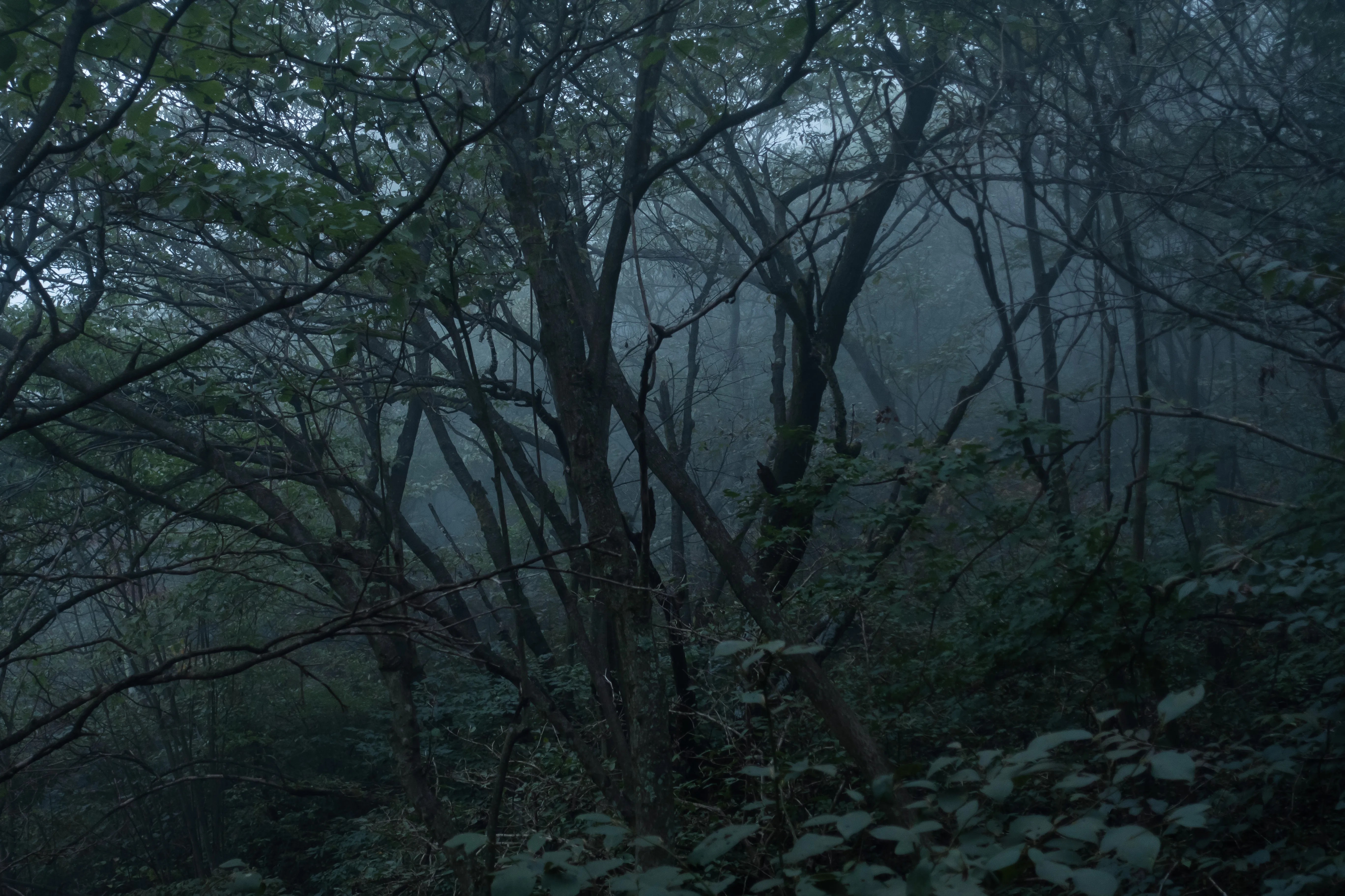 pic6_3